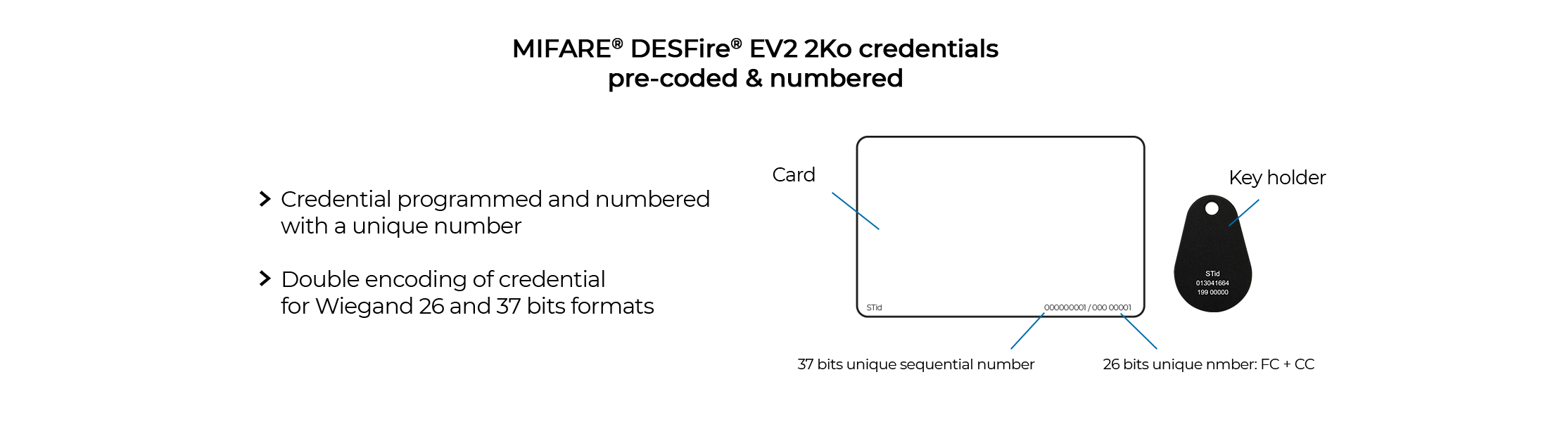 Visuel identifiant v2 US